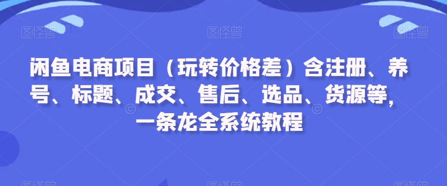 闲鱼电商项目（玩转价格差）含注册、养号、标题、成交、售后、选品、货源等，一条龙全系统教程-大齐资源站