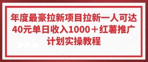 年度最豪拉新项目拉新一人可达40元单日收入1000+红薯推广计划实操教程【揭秘】-大齐资源站