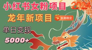 小红书女粉头像项目，单日变现5000+，适合在家做的副业，长期稳定【揭秘】-大齐资源站