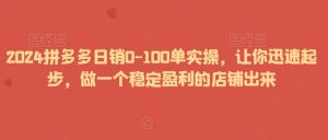 2024拼多多日销0-100单实操，让你迅速起步，做一个稳定盈利的店铺出来-大齐资源站