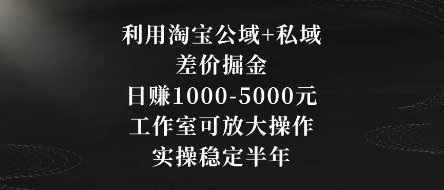 利用淘宝公域+私域差价掘金，日赚1000-5000元，工作室可放大操作，实操稳定半年【揭秘】-大齐资源站