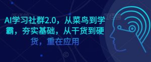 AI学习社群2.0，从菜鸟到学霸，夯实基础，从干货到硬货，重在应用-大齐资源站