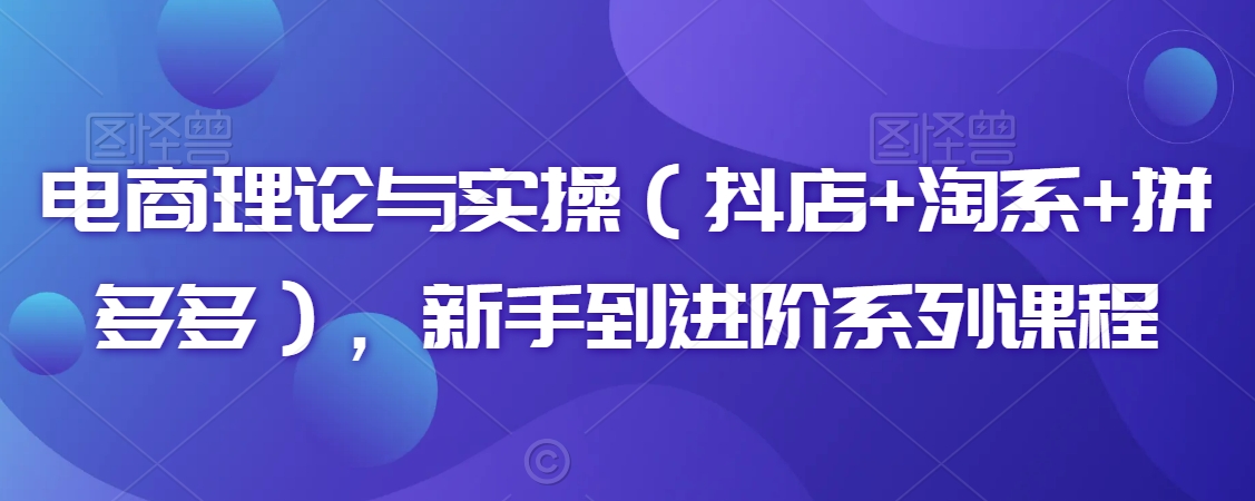 电商理论与实操（抖店+淘系+拼多多），新手到进阶系列课程-大齐资源站