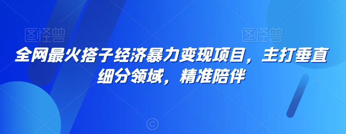 全网最火搭子经济暴力变现项目，主打垂直细分领域，精准陪伴【揭秘】-大齐资源站