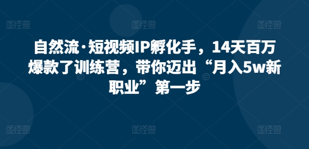 自然流·短视频IP孵化手，14天百万爆款了训练营，带你迈出“月入5w新职业”第一步-大齐资源站