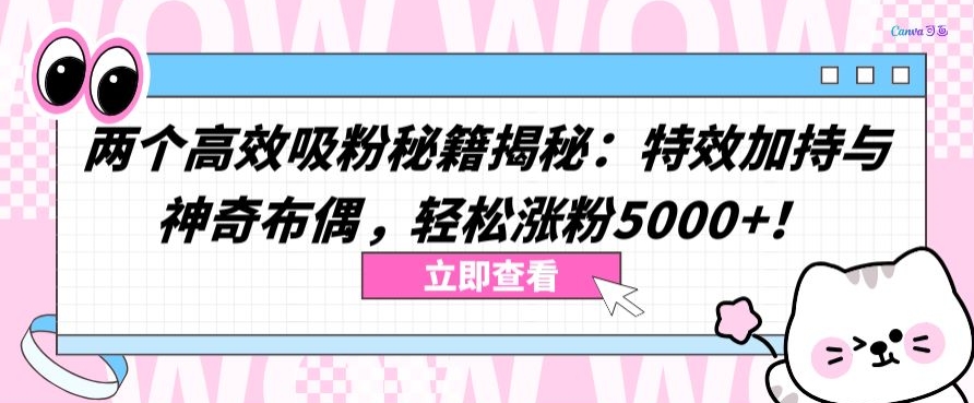 两个高效吸粉秘籍揭秘：特效加持与神奇布偶，轻松涨粉5000+【揭秘】-大齐资源站