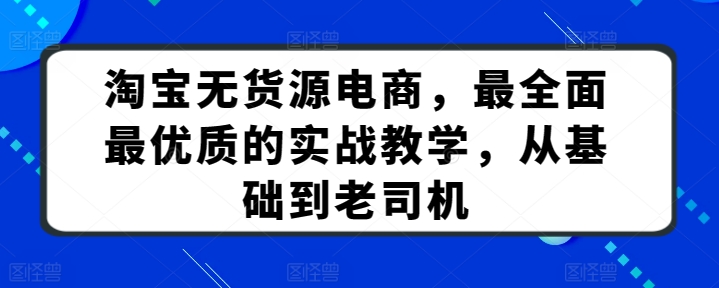 淘宝无货源电商，最全面最优质的实战教学，从基础到老司机-大齐资源站