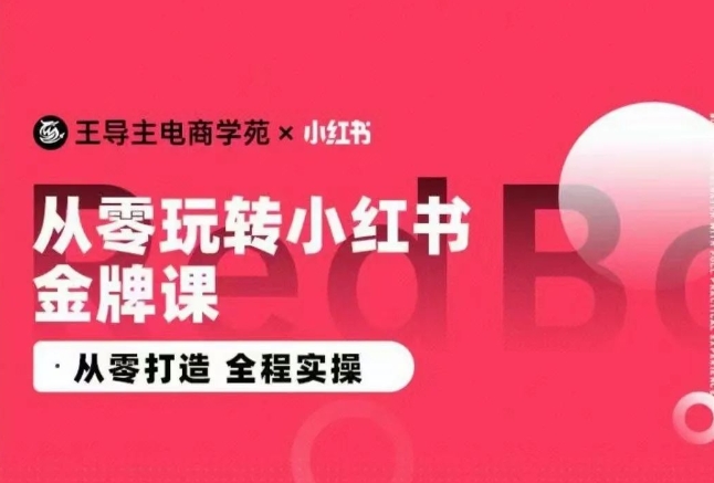 王导主·小红书电商运营实操课，​从零打造  全程实操-大齐资源站