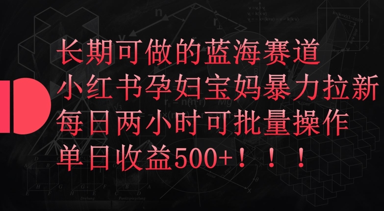 长期可做的蓝海赛道，小红书孕妇宝妈暴力拉新玩法，每日两小时可批量操作，单日收益500+【揭秘】-大齐资源站
