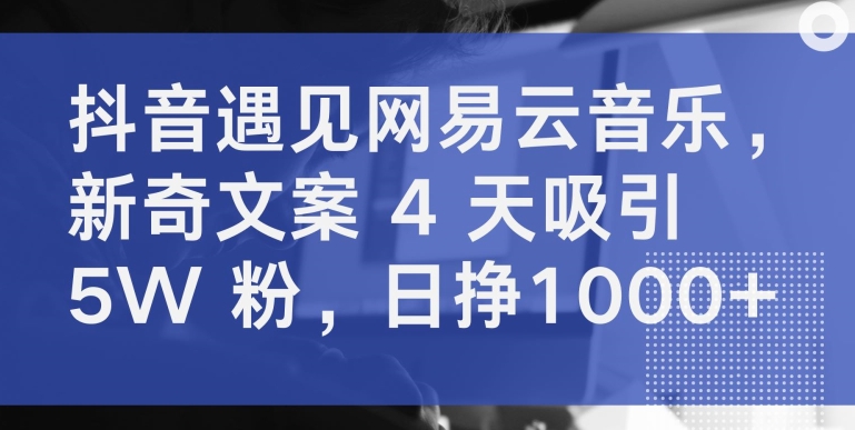 抖音遇见网易云音乐，新奇文案 4 天吸引 5W 粉，日挣1000+【揭秘】-大齐资源站