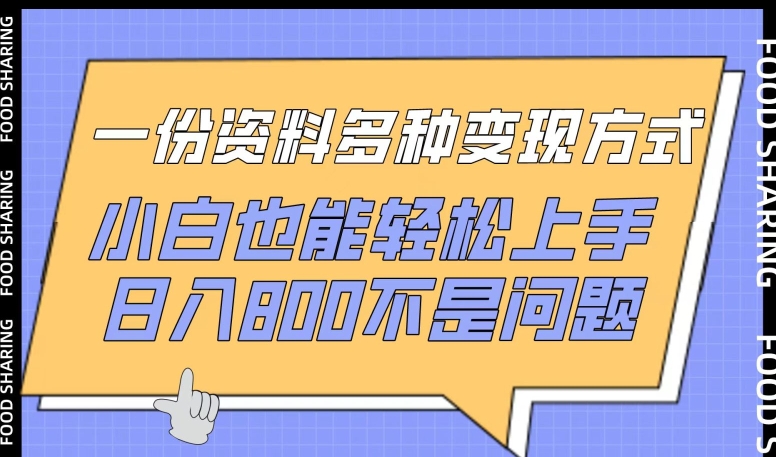 一份资料多种变现方式，小白也能轻松上手，日入800不是问题【揭秘】-大齐资源站