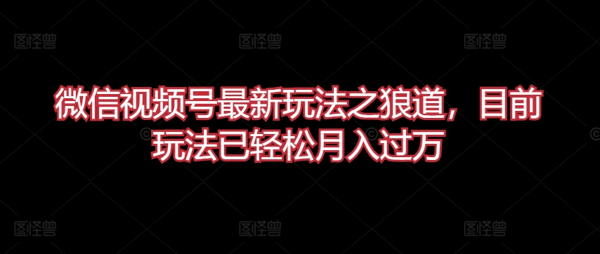 微信视频号最新玩法之狼道，目前玩法已轻松月入过万【揭秘】-大齐资源站