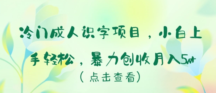 冷门成人识字项目，小白上手轻松，暴力创收月入5w+【揭秘】-大齐资源站