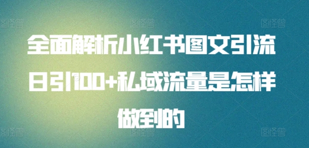 全面解析小红书图文引流日引100+私域流量是怎样做到的【揭秘】-大齐资源站