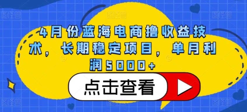 4月份蓝海电商撸收益技术，长期稳定项目，单月利润5000+【揭秘】-大齐资源站