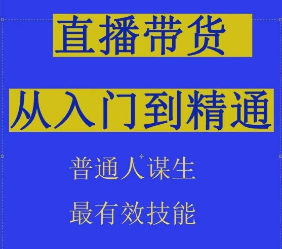 2024抖音直播带货直播间拆解抖运营从入门到精通，普通人谋生最有效技能-大齐资源站