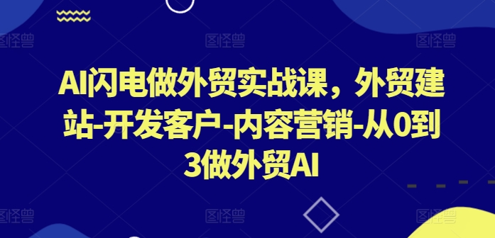 AI闪电做外贸实战课，​外贸建站-开发客户-内容营销-从0到3做外贸AI-大齐资源站