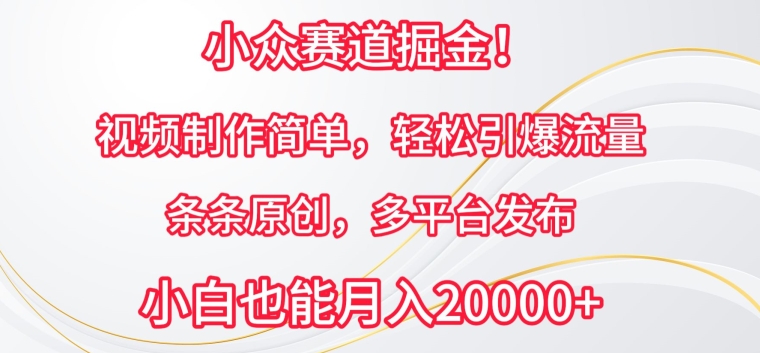 小众赛道掘金，视频制作简单，轻松引爆流量，条条原创，多平台发布【揭秘】-大齐资源站