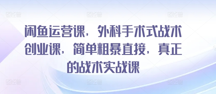 闲鱼运营课，外科手术式战术创业课，简单粗暴直接，真正的战术实战课-大齐资源站