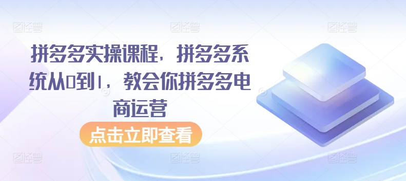 拼多多实操课程，拼多多系统从0到1，教会你拼多多电商运营-大齐资源站