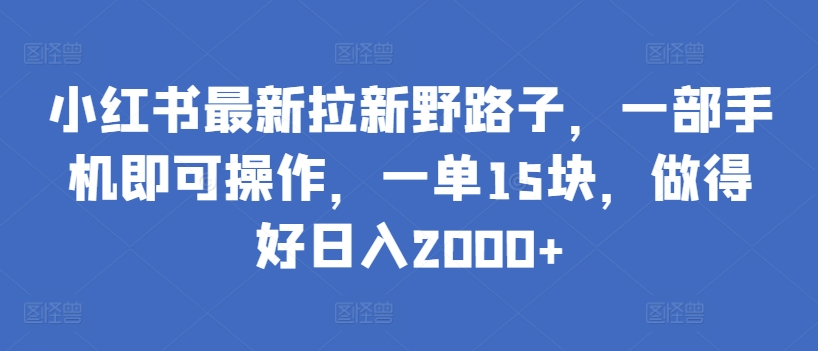 小红书最新拉新野路子，一部手机即可操作，一单15块，做得好日入2000+【揭秘】-大齐资源站