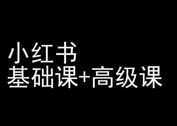 小红书基础课+高级课-小红书运营教程-大齐资源站