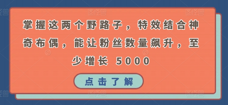 掌握这两个野路子，特效结合神奇布偶，能让粉丝数量飙升，至少增长 5000【揭秘】-大齐资源站