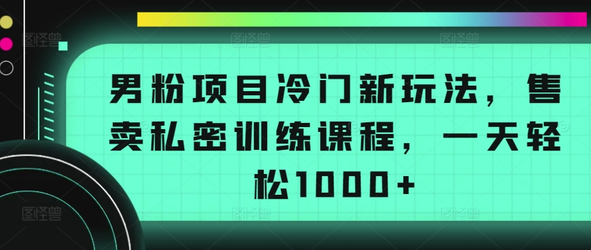 男粉项目冷门新玩法，售卖私密训练课程，一天轻松1000+【揭秘】-大齐资源站