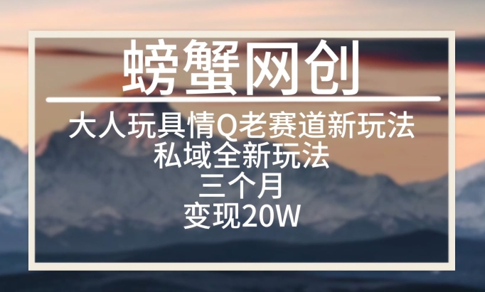 大人玩具情Q用品赛道私域全新玩法，三个月变现20W，老项目新思路【揭秘】-大齐资源站