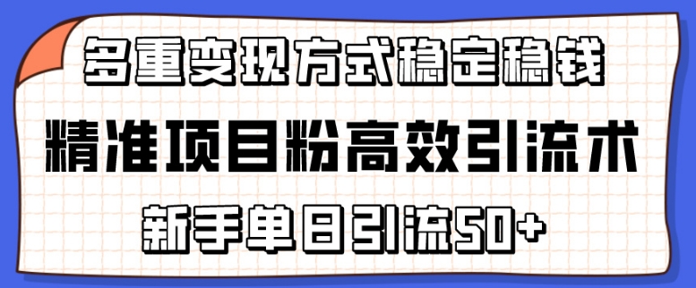 精准项目粉高效引流术，新手单日引流50+，多重变现方式稳定赚钱【揭秘】-大齐资源站