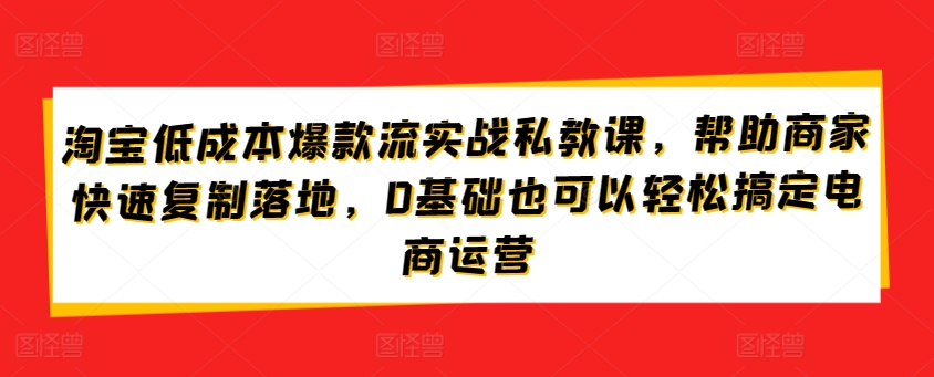 淘宝低成本爆款流实战私教课，帮助商家快速复制落地，0基础也可以轻松搞定电商运营-大齐资源站