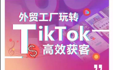 外贸工厂玩转TikTok高效获客，多种引流方式与账号定位技巧，拆解爆款短视频打造成功案例-大齐资源站
