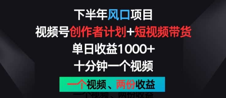 下半年风口项目，视频号创作者计划+视频带货，一个视频两份收益，十分钟一个视频【揭秘】-大齐资源站
