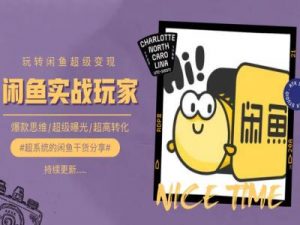 手把手教你0到1系统玩转闲鱼变现，爆款思维/超级曝光/超高转化-大齐资源站