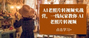 AI老照片转视频实战营,一线玩家教你AI老照片转视频-大齐资源站