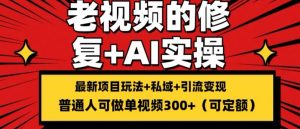 修复老视频的玩法，搬砖+引流的变现(可持久)，单条收益300+【揭秘】-大齐资源站