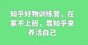 知乎好物训练营，在家不上班，靠知乎来养活自己-大齐资源站