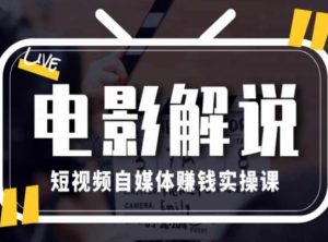 电影解说短视频自媒体赚钱实操课，教你做电影解说短视频，月赚1万-大齐资源站