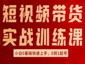 短视频带货实战训练课，好物分享实操，小白0基础快速上手，0到1起号-大齐资源站