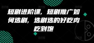 短剧进阶课，短剧推广如何选剧，选剧选的好吃肉吃到饱-大齐资源站