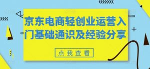 京东电商轻创业运营入门基础通识及经验分享-大齐资源站