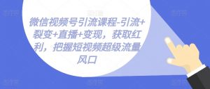 微信视频号引流课程-引流+裂变+直播+变现,获取红利,把握短视频超级流量风口-大齐资源站