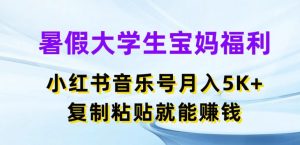 暑假大学生宝妈福利，小红书音乐号月入5000+，复制粘贴就能赚钱【揭秘】-大齐资源站
