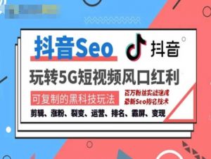 抖音SEO引流培训课程-抓住抖音风口,实现搜索排名,获取精准流量,快速成交变现-大齐资源站