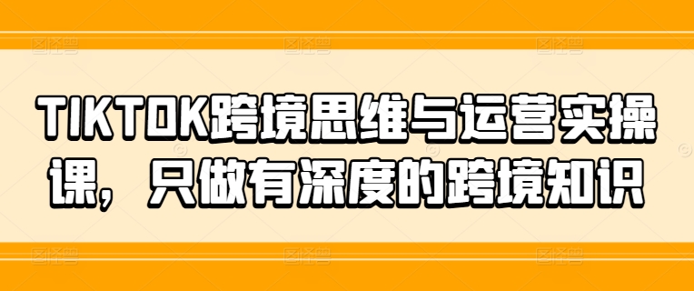 TIKTOK跨境思维与运营实操课，只做有深度的跨境知识-大齐资源站