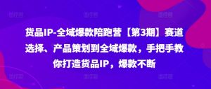 货品IP全域爆款陪跑营【第3期】赛道选择、产品策划到全域爆款,手把手教你打造货品IP,爆款不断-大齐资源站