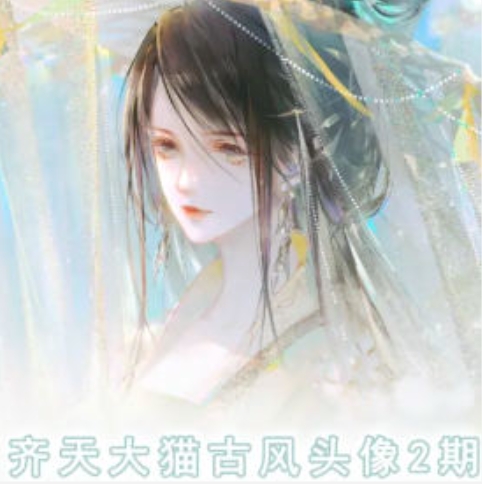 齐天大猫古风头像课第2期，帮助您提高您的绘画技能-大齐资源站