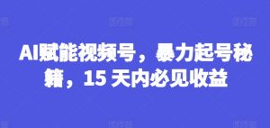AI赋能视频号，暴力起号秘籍，15 天内必见收益【揭秘】-大齐资源站