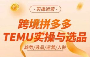 跨境拼多多TEMU实操与选品，多多temu跨境选品运营实操-大齐资源站