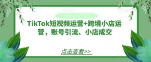 TikTok短视频运营+跨境小店运营,账号引流、小店成交-大齐资源站